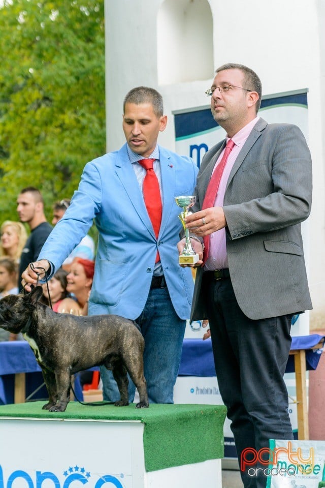 Expoziţie canină, Oradea