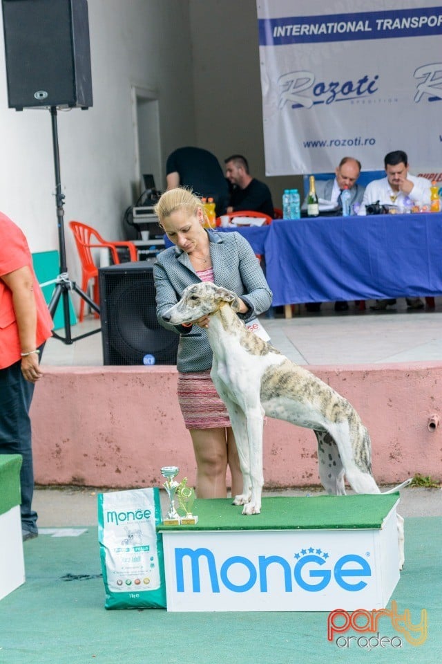 Expoziţie canină, Oradea