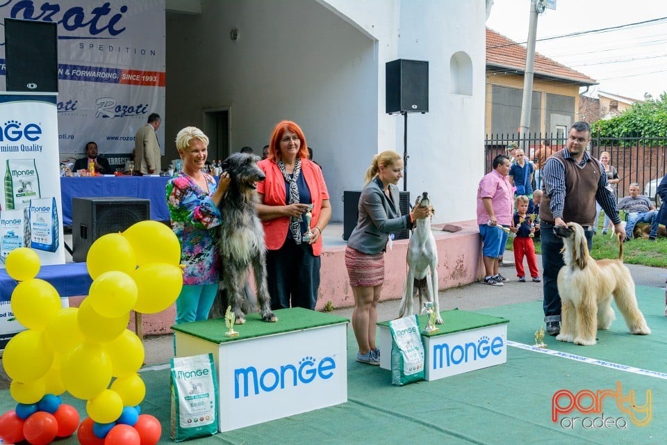 Expoziţie canină, Oradea