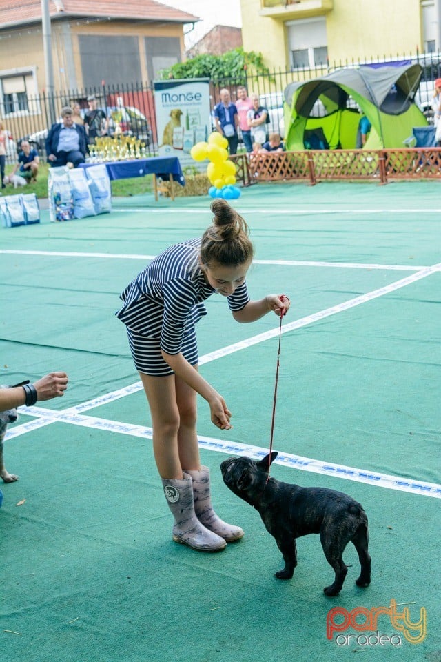 Expoziţie canină, Oradea