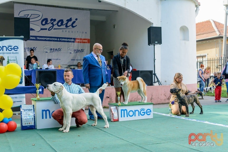 Expoziţie canină, Oradea