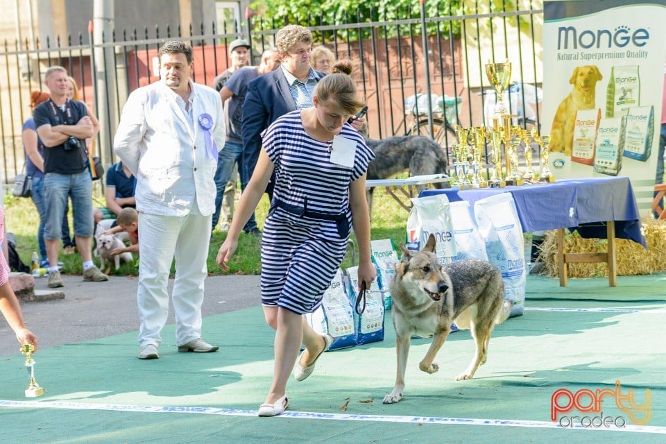 Expoziţie canină, Oradea