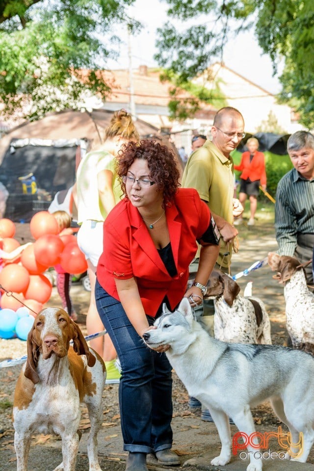 Expoziţie canină, Oradea