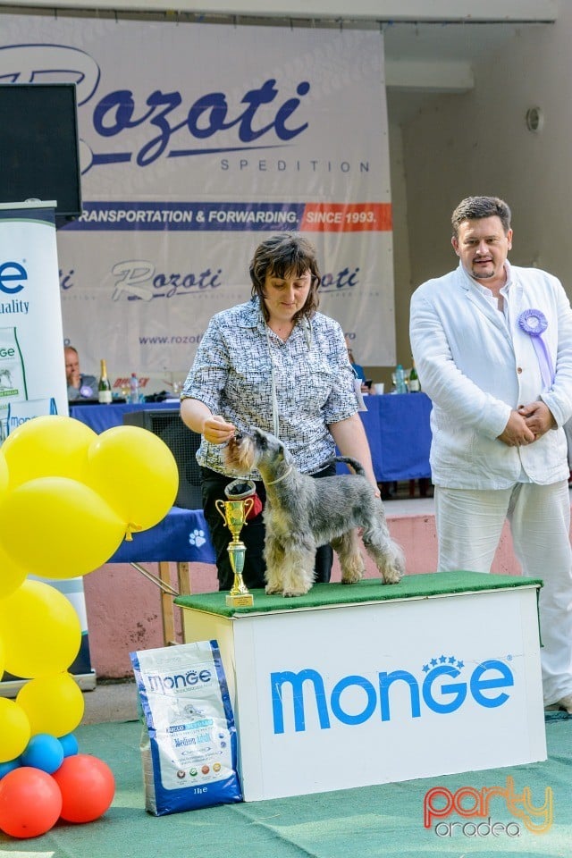 Expoziţie canină, Oradea