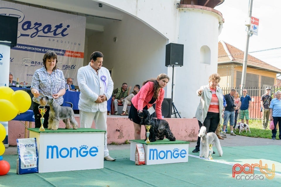 Expoziţie canină, Oradea