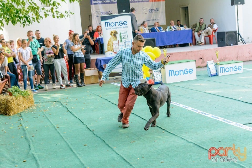 Expoziţie canină, Oradea