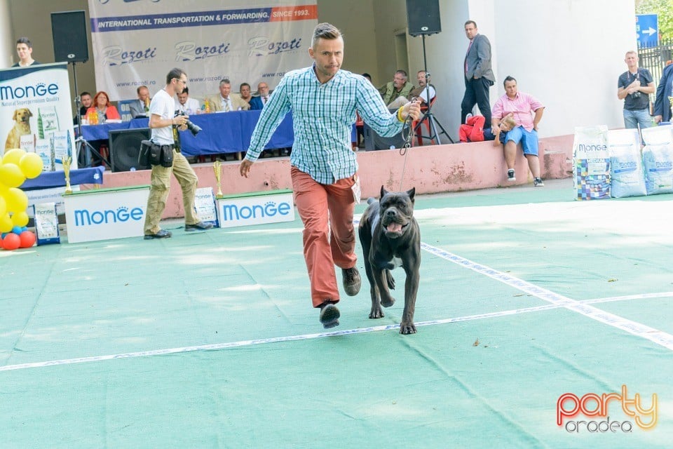 Expoziţie canină, Oradea