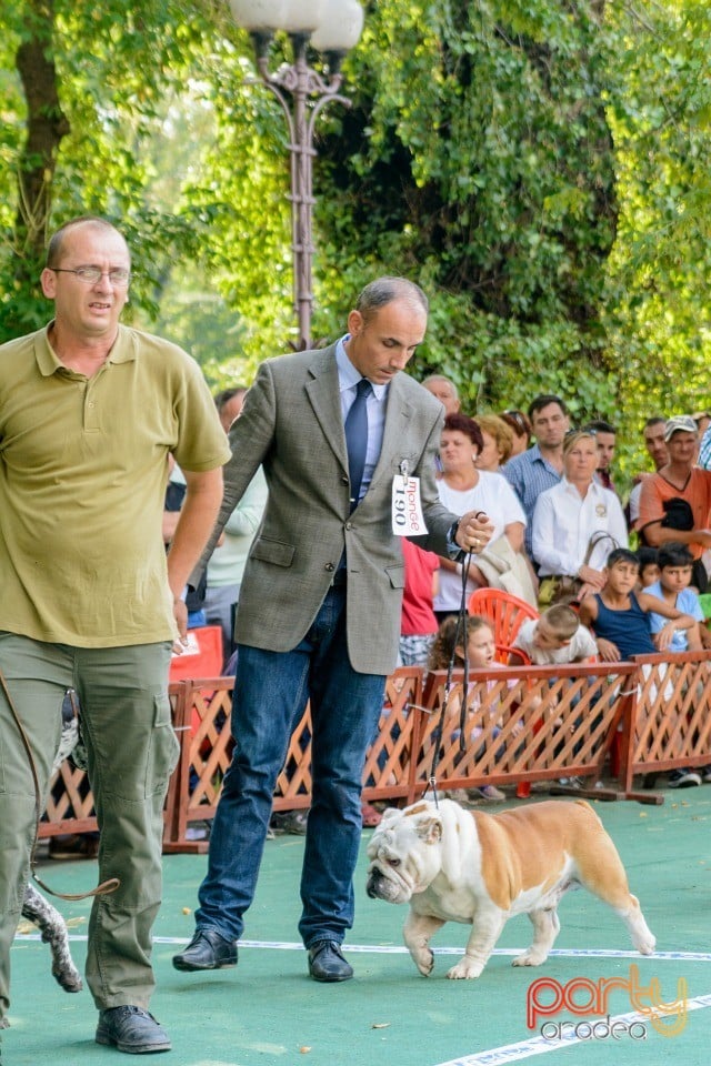 Expoziţie canină, Oradea