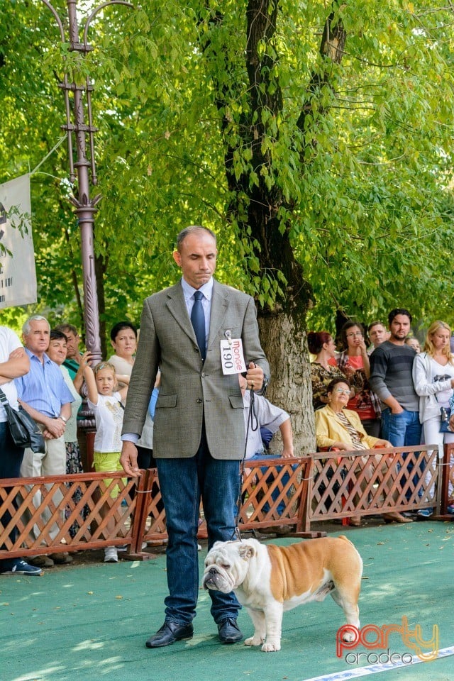 Expoziţie canină, Oradea