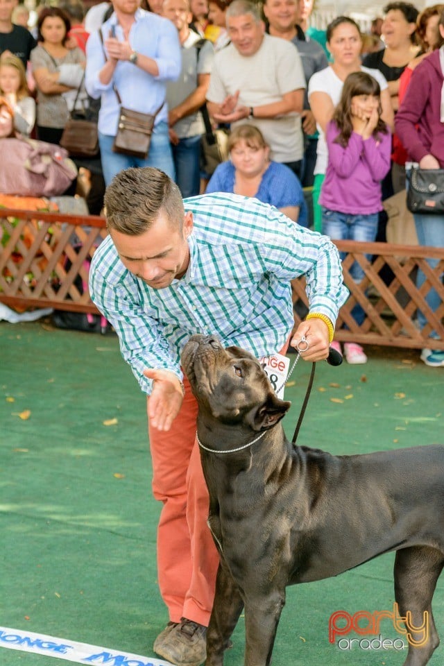 Expoziţie canină, Oradea