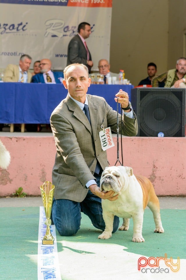 Expoziţie canină, Oradea