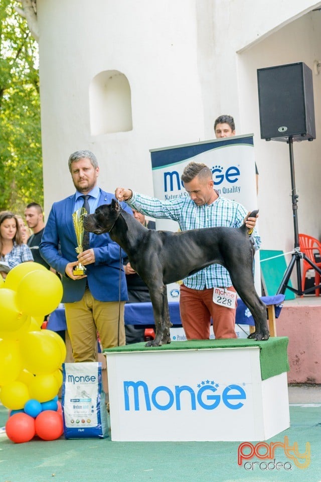 Expoziţie canină, Oradea