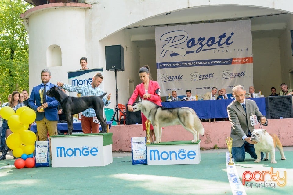 Expoziţie canină, Oradea