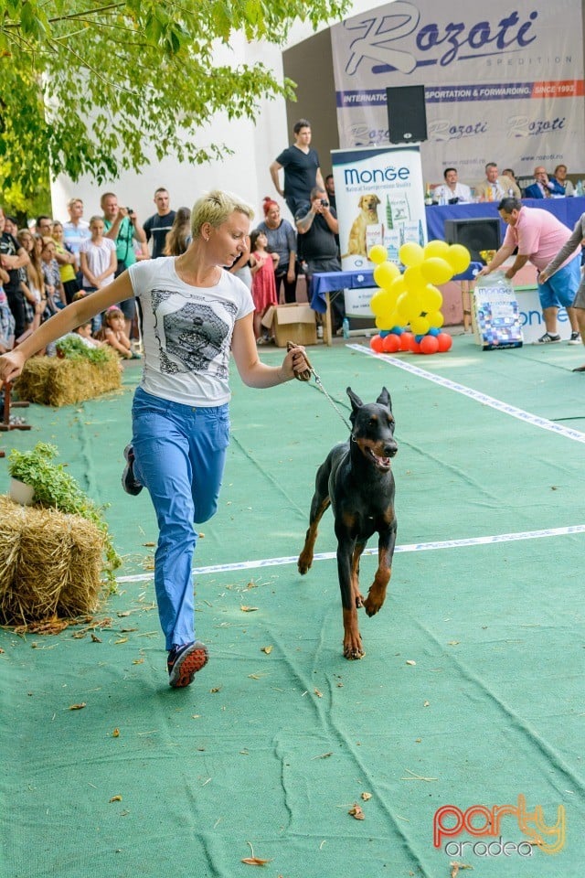 Expoziţie canină, Oradea