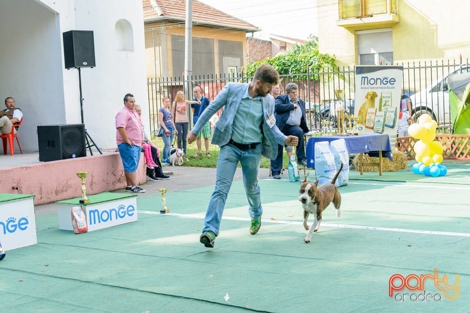 Expoziţie canină, Oradea