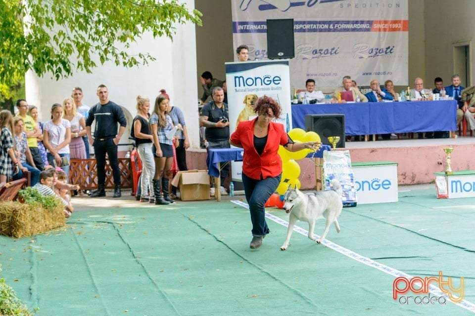 Expoziţie canină, Oradea