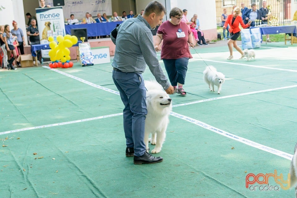 Expoziţie canină, Oradea