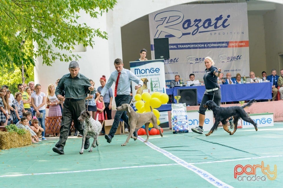 Expoziţie canină, Oradea