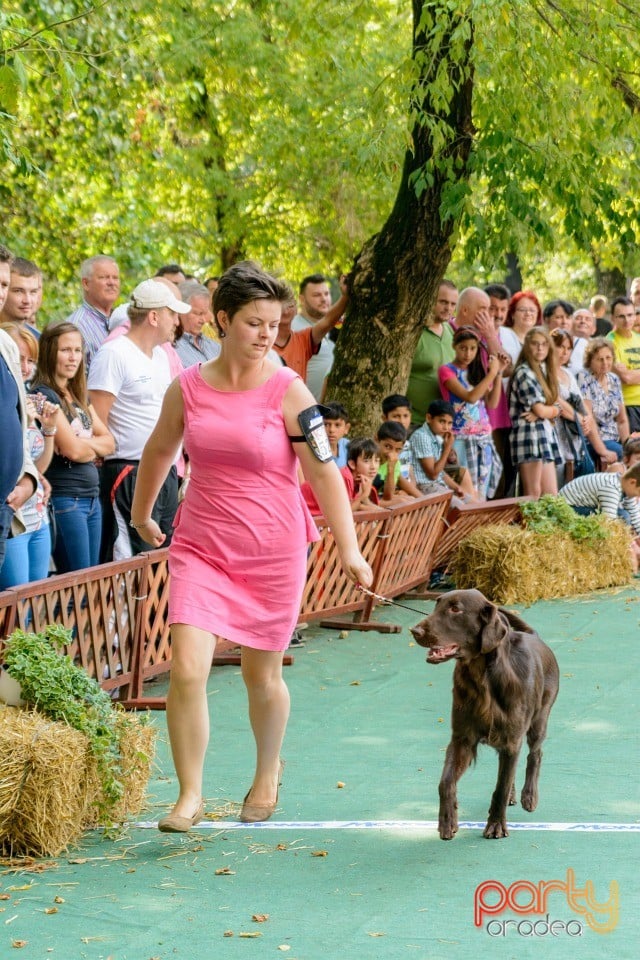 Expoziţie canină, Oradea