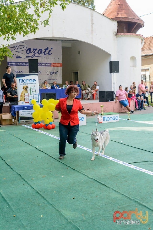 Expoziţie canină, Oradea