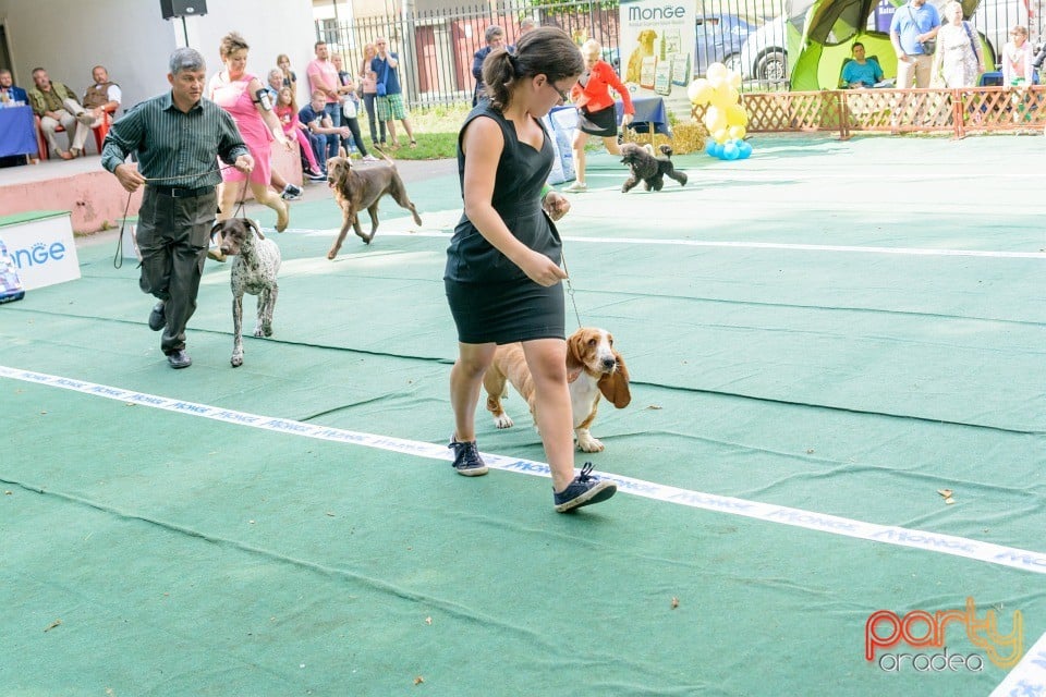 Expoziţie canină, Oradea