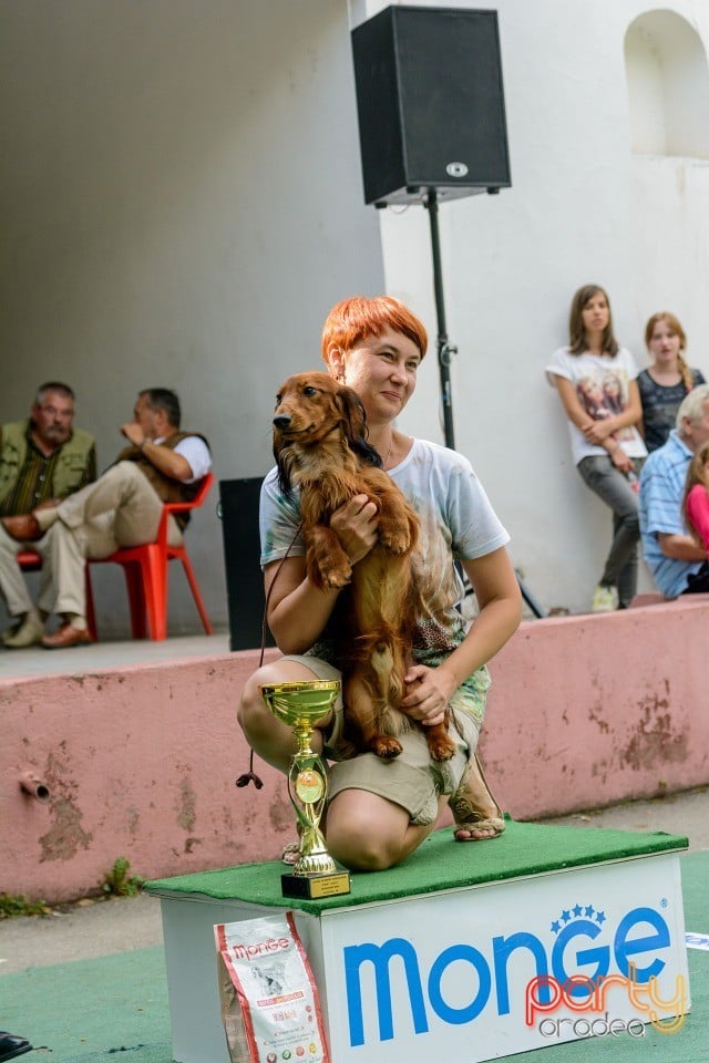 Expoziţie canină, Oradea