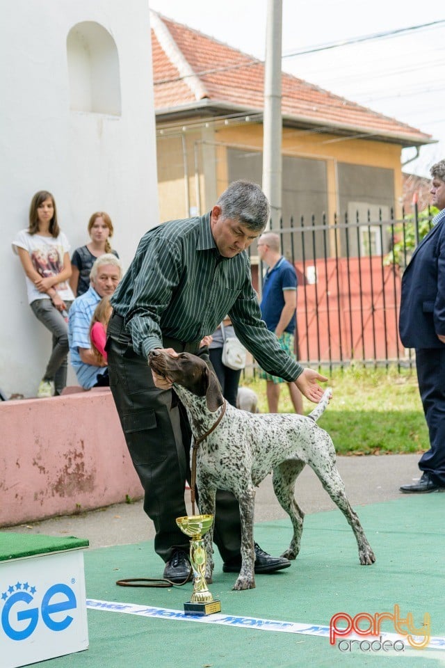 Expoziţie canină, Oradea