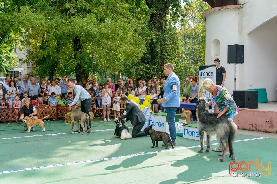 Expoziţie canină, Oradea