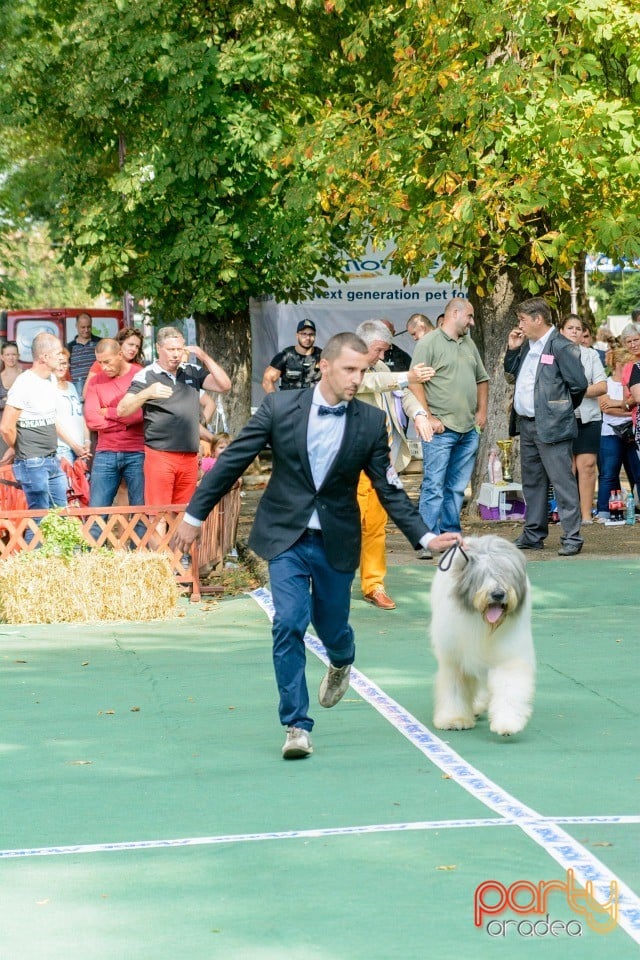 Expoziţie canină, Oradea