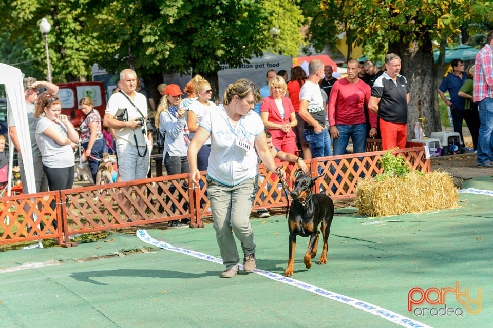 Expoziţie canină, Oradea