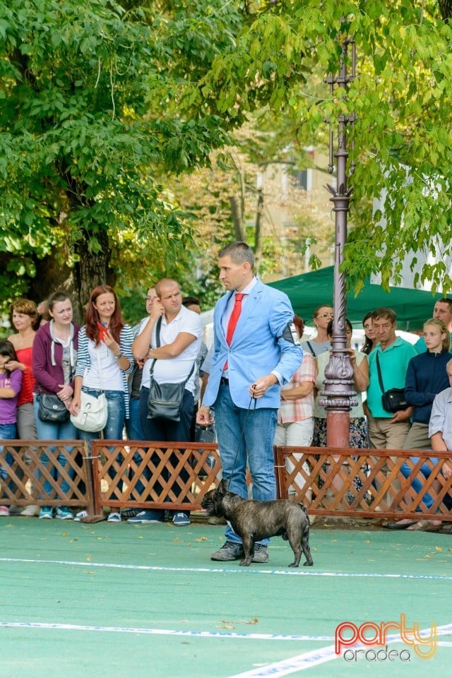 Expoziţie canină, Oradea