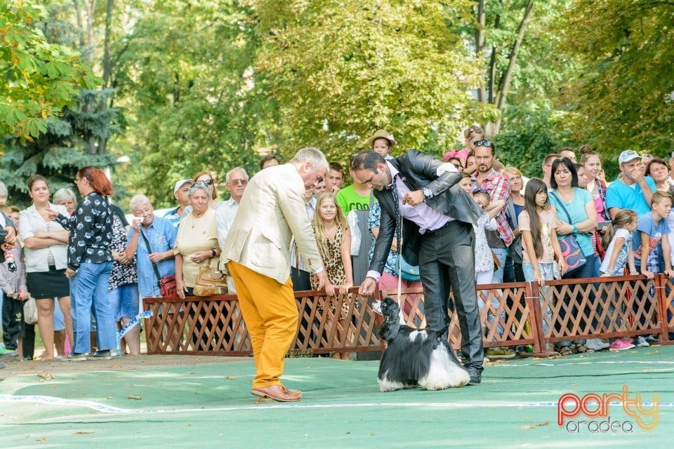 Expoziţie canină, Oradea