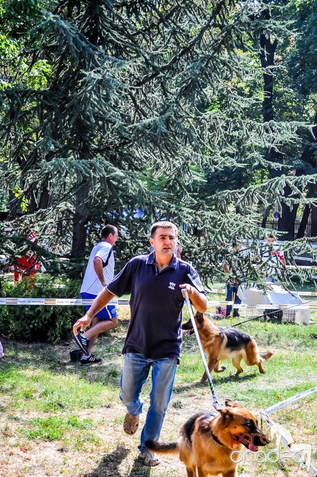 Expozitie canina, Oradea