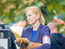 Expoziţie canină