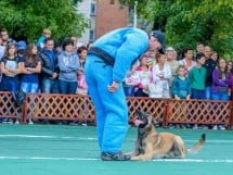 Expoziţie canină