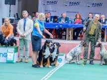 Expoziţie canină