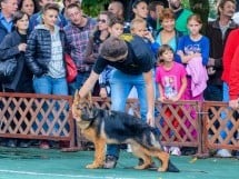 Expoziţie canină