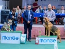 Expoziţie canină