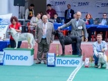 Expoziţie canină