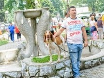 Expoziţie canină