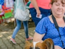 Expoziţie canină