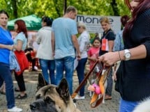 Expoziţie canină