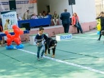 Expoziţie canină