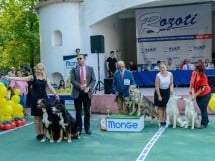 Expoziţie canină