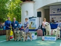 Expoziţie canină