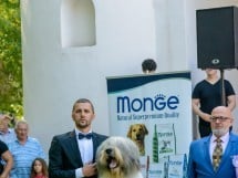 Expoziţie canină