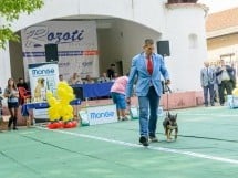 Expoziţie canină