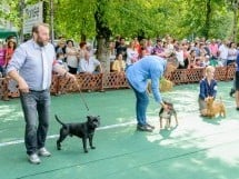 Expoziţie canină