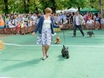 Expoziţie canină