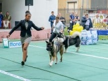 Expoziţie canină